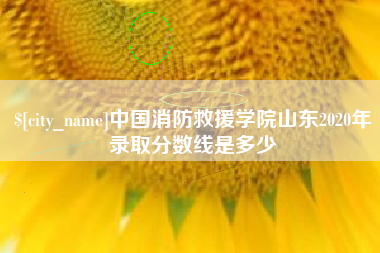 库尔勒中国消防救援学院山东2020年录取分数线是多少
