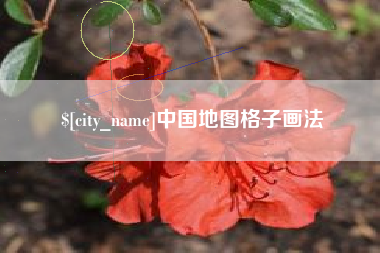 库尔勒中国地图格子画法