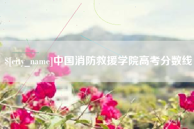库尔勒中国消防救援学院高考分数线