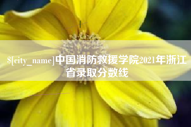 库尔勒中国消防救援学院2021年浙江省录取分数线