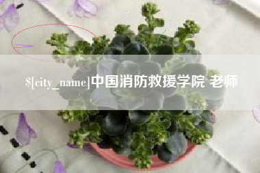 库尔勒中国消防救援学院 老师
