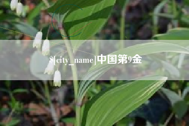 库尔勒中国第9金