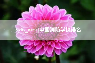 库尔勒中国消防学校排名
