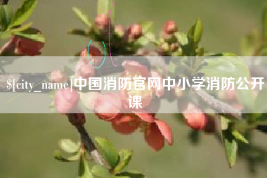 库尔勒中国消防官网中小学消防公开课