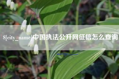 库尔勒中国执法公开网征信怎么查询