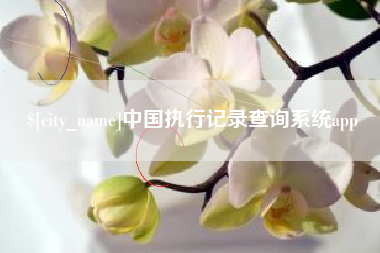 库尔勒中国执行记录查询系统app