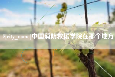 库尔勒中国消防救援学院在那个地方