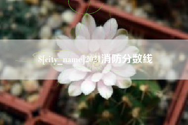 库尔勒2021消防分数线
