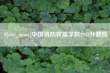 库尔勒中国消防救援学院2018分数线