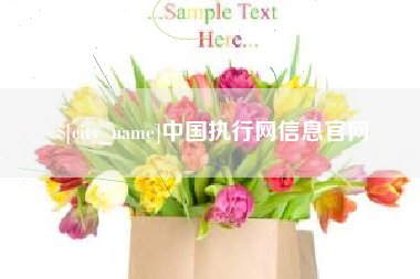 库尔勒中国执行网信息官网
