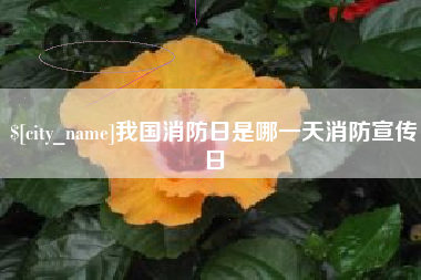 库尔勒我国消防日是哪一天消防宣传日