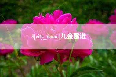 库尔勒九金是谁