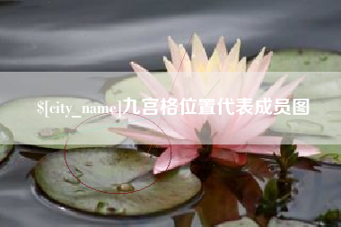 库尔勒九宫格位置代表成员图