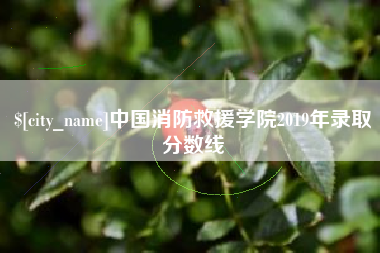 库尔勒中国消防救援学院2019年录取分数线