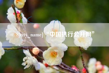 库尔勒“中国执行公开网”