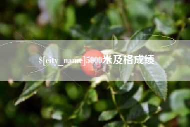库尔勒5000米及格成绩