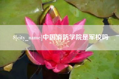 库尔勒中国消防学院是军校吗
