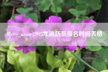 库尔勒2025年消防员报名时间表格