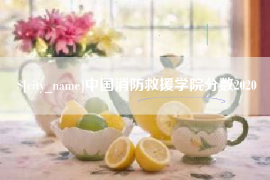 库尔勒中国消防救援学院分数2020