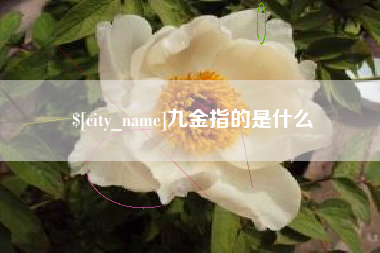 库尔勒九金指的是什么