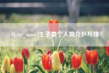 库尔勒王子豪个人简介乒乓球