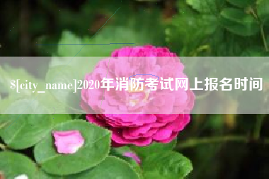 库尔勒2020年消防考试网上报名时间