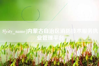 库尔勒内蒙古自治区消防技术服务执业管理平台