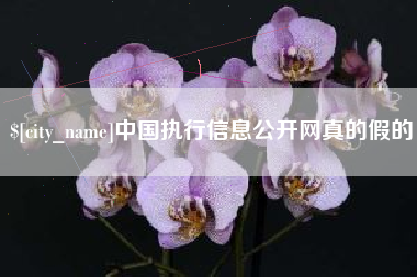 库尔勒中国执行信息公开网真的假的