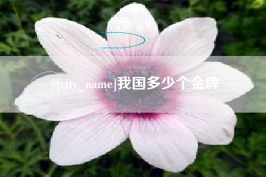 库尔勒我国多少个金牌