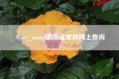 库尔勒消防证查询网上查询