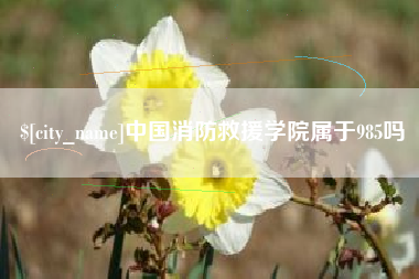 库尔勒中国消防救援学院属于985吗