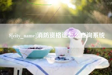 库尔勒消防资格证怎么查询系统