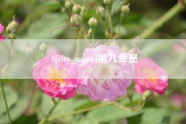 库尔勒第九金是