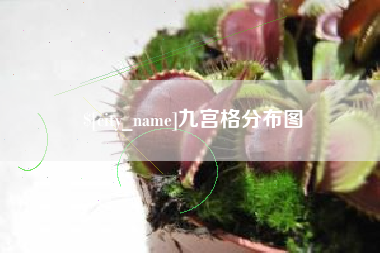 库尔勒九宫格分布图