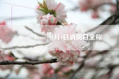 库尔勒11月9日消防日全称