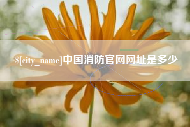 库尔勒中国消防官网网址是多少