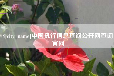 库尔勒中国执行信息查询公开网查询官网