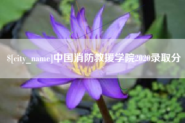 库尔勒中国消防救援学院2020录取分