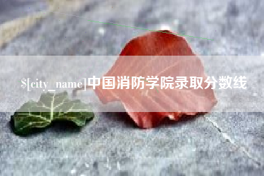 库尔勒中国消防学院录取分数线