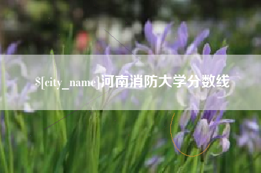 库尔勒河南消防大学分数线