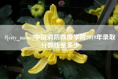 库尔勒中国消防救援学院2019年录取分数线是多少