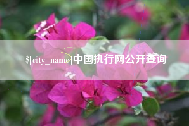 库尔勒中国执行网公开查询