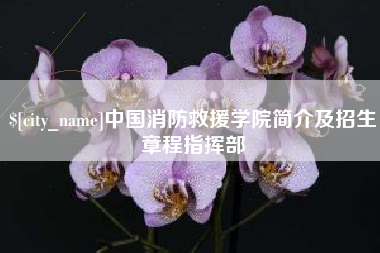 库尔勒中国消防救援学院简介及招生章程指挥部