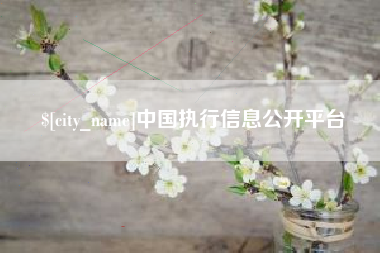 库尔勒中国执行信息公开平台