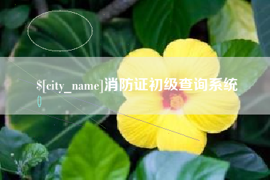 库尔勒消防证初级查询系统