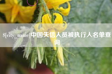 库尔勒中国失信人员被执行人名单查询