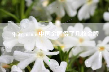库尔勒中国金牌得了几枚金牌