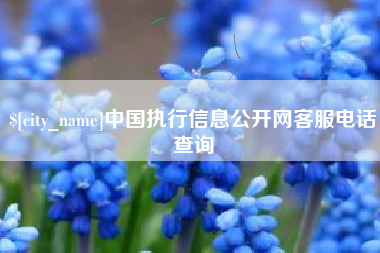库尔勒中国执行信息公开网客服电话查询