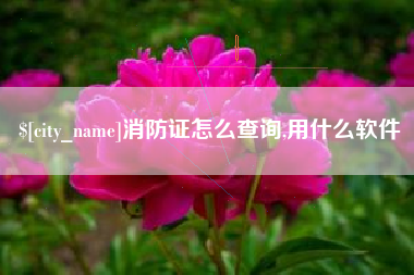 库尔勒消防证怎么查询,用什么软件