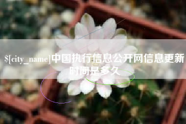 库尔勒中国执行信息公开网信息更新时间是多久